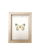 Charger l&#39;image dans la galerie, Minute Papillon - bestioles