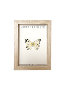 Minute Papillon - bestioles