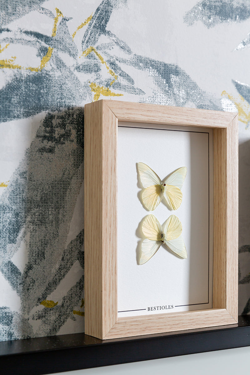 Cadre Mural IKEA Blanc - Papillons - 20x20 Pouces - épaisseur Fine - Occasion