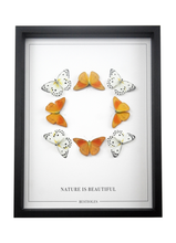 Charger l&#39;image dans la galerie, Nature is beautiful (orange/blanc) - bestioles